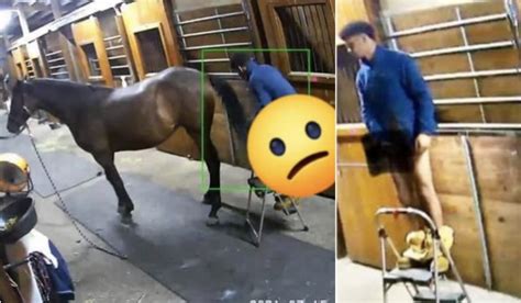 man fuckes horse|A Man Fucking a Horse .